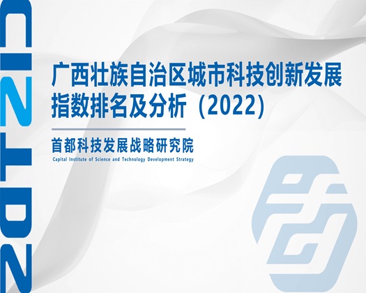 大吊操逼视屏【成果发布】广西壮族自治区城市科技创新发展指数排名及分析（2022）